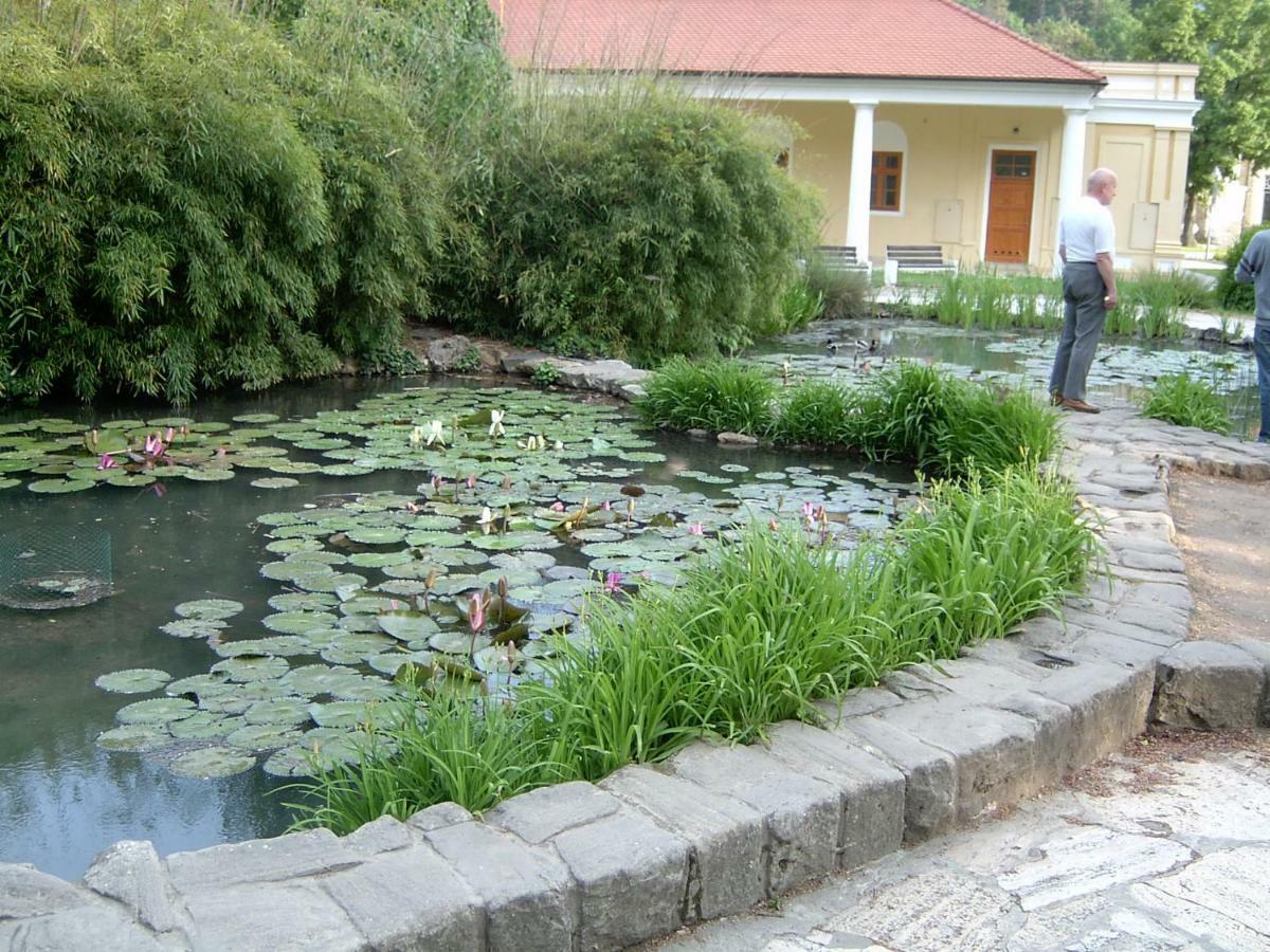 Dobre Ubytovanie Piest'any Dış mekan fotoğraf